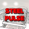 Steel Pulse Roller Coaster - 3D Stereo Glasses