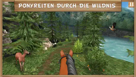 Pony Trails