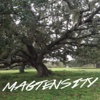 Magtensity