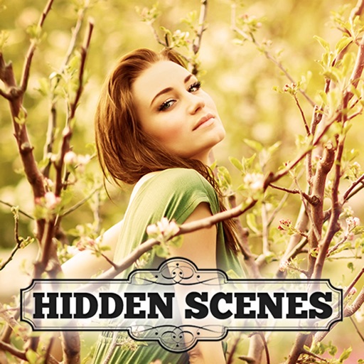 Hidden Scenes - Autumn Leaves icon