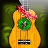 Ukulele Chords Compass- learn the chord charts & play them