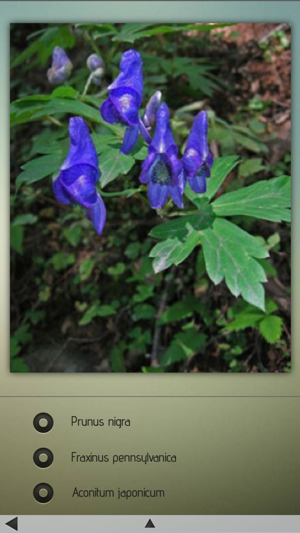 Medicinal Plants Collection(圖4)-速報App