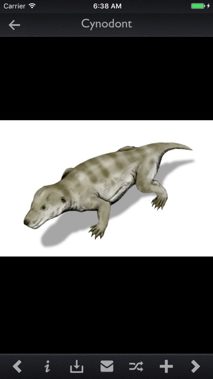 Dynosaurs Info screenshot-4