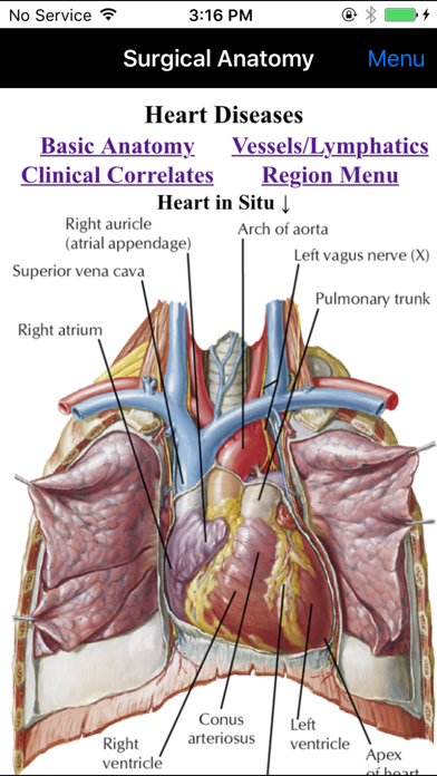 Netter's Surgical Anatomy Review P.R.N. Screenshot 2