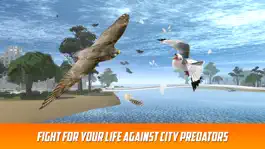 Game screenshot Seagull Bird Survival Simulator 3D hack