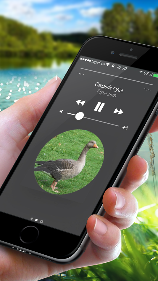 Охотничий манок на гуся - 1.0.1 - (iOS)