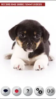 perro que habla iphone capturas de pantalla 2