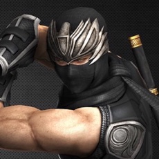 Activities of Ninja mutant assassin warriour samurai fighter