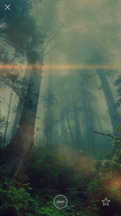 iWallpapers Premium - Unlimited HD Wallpapers Pro