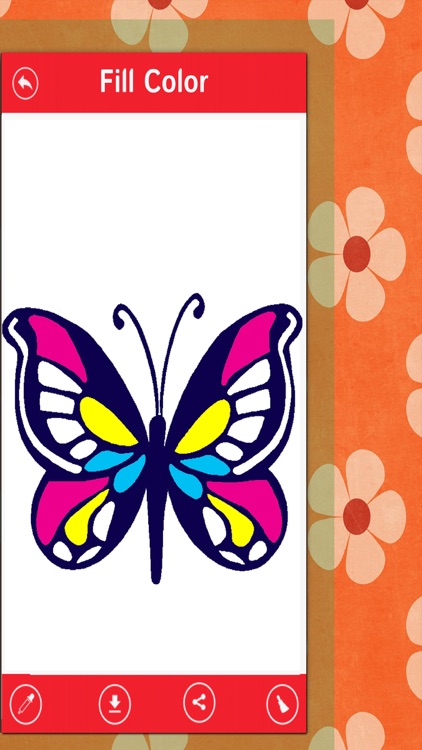 Butterfly Color Book-Beautiful Butterfly Canvas