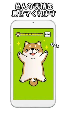 Game screenshot Tickling dog hack