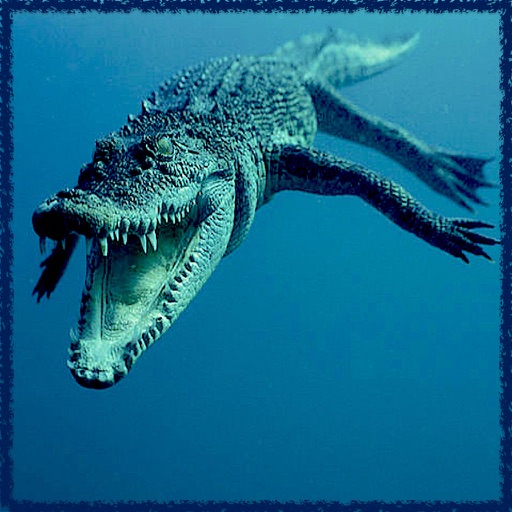Ultimate Hungry Crocodile Sea War 3D iOS App