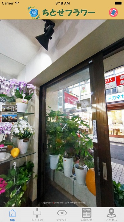 ちとせフラワー