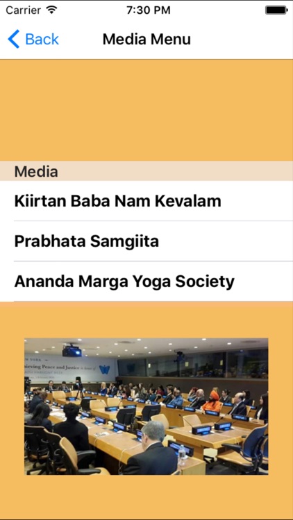 Ananda Marga NY Sector screenshot-4