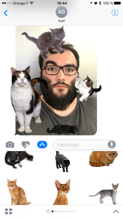 Cat Stickersのおすすめ画像1