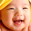 The Blog
