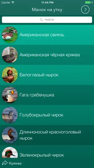 Скриншот Охотничий манок на утку на iPhone 4