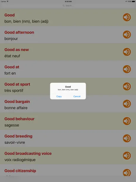 English French Dictionary Offline For Ipad