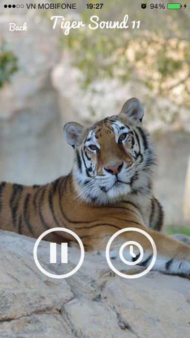 Screenshot #3 pour Tiger Sounds - Tiger Sounds for Kids