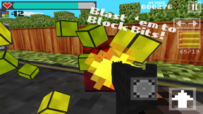 Block Gun 3D - Free Pixel Style FPS Survival Shooter screenshot