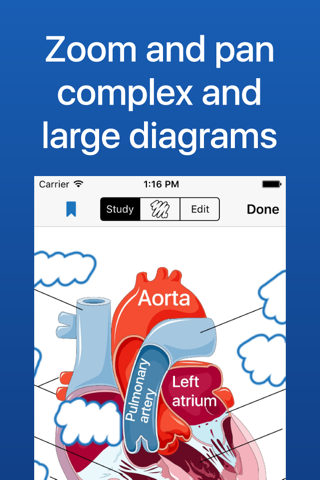 Flashcards for Diagrams - Diagram Flashcard Maker screenshot 3