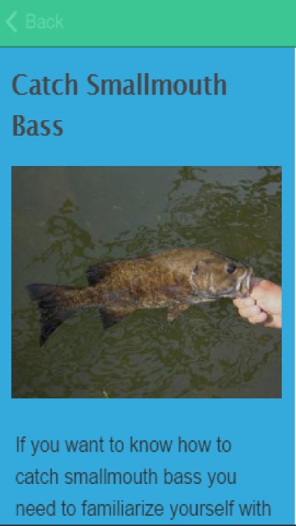 How To Catch Bass