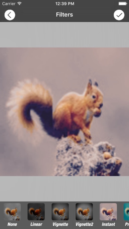 Photoscape - Colors Accent screenshot-3