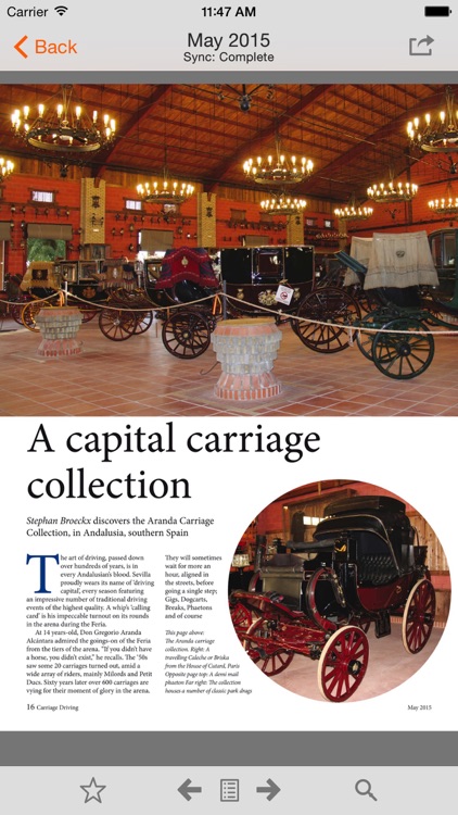 Carriage Driving screenshot-4