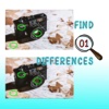 Find the Difference Photo Hunt Free