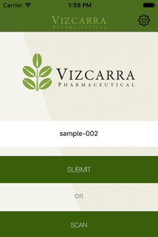 Vizcarra screenshot 2