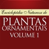 Plantas Ornamentais - Volume 1