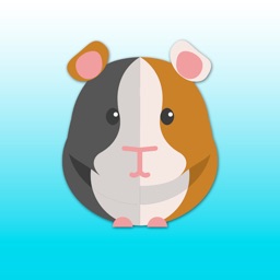 Guinea Pig Stickers