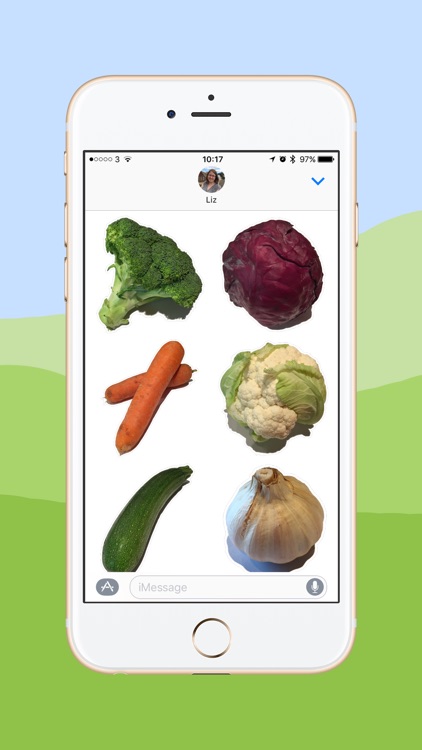 Vegetable Stickers - Great for Veggies and Vegans