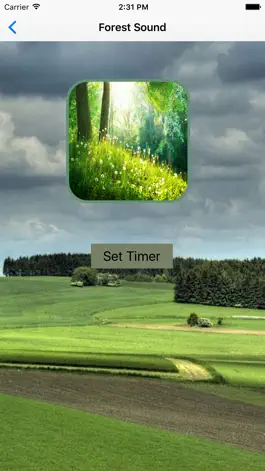 Game screenshot Forest Sounds for Sleep - Ambient Forest Sounds hack