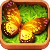 Butterfly GO - iPadアプリ