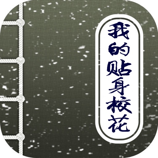 我的贴身校花，校园言情小说经典