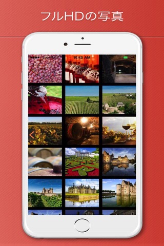 Loire Valley Travel Guide screenshot 2