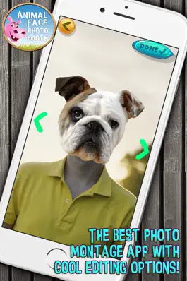 Game screenshot Animal Face Photo Booth with Funny Pet Sticker.s apk