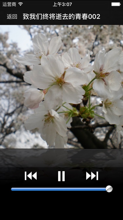 致我们终将逝去的青春-有声经典