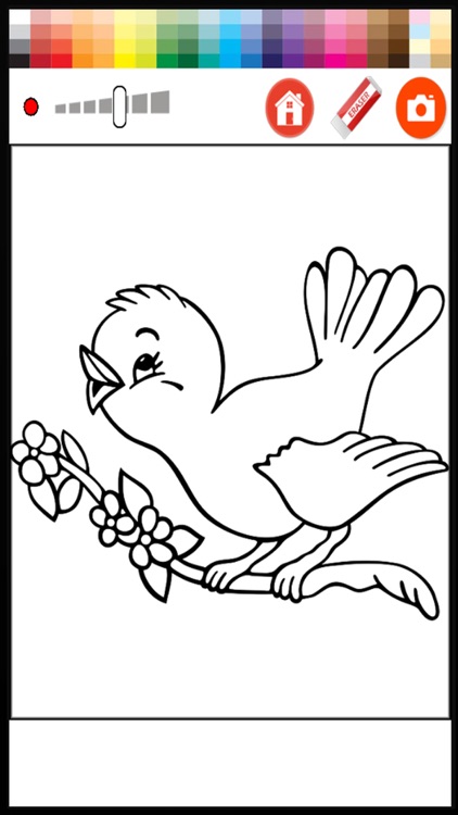 Birds Coloring Book For Kids Free