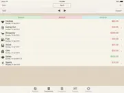 my budgets ipad images 3