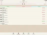 My Budgets ipad bilder 2