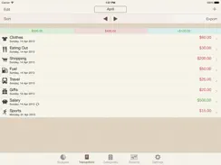 My Budgets iPad image 3
