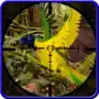 Wild Bird Hunter :Hunting Shooting Simulation free