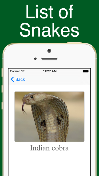Screenshot #2 pour World Snakes!