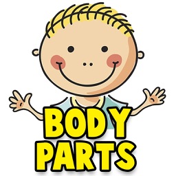 human body partssuave solutions