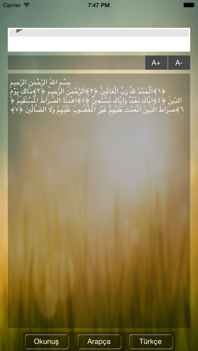 Screenshot #1 pour Fatiha Suresi