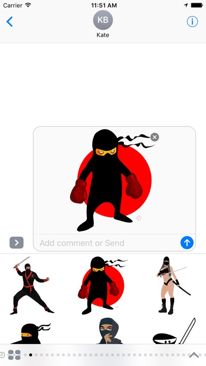 Ninja Sticker Pack