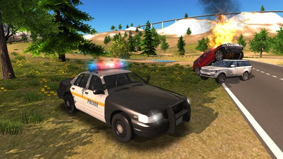 Police Car driving Offroad 4x4のおすすめ画像3