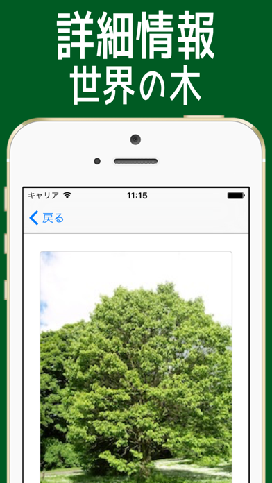 き図鑑 世界の品種 =木237種類=のおすすめ画像3